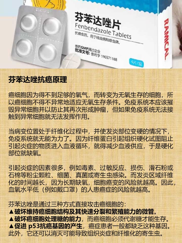 芬苯达唑抗癌原理 癌细胞因为得不到足够的氧气，而转变为无氧生存的细胞，所以癌细胞不得不异常地适应无氧生存条件。免疫系统本应该摧毁异常细胞并以防止其再次形成肿瘤，但如果免疫系统无法接触到异常细胞就无法发挥作用。 当病变位置处于纤维化过程中，并使发炎部位变硬的情况下，免疫系统就无能为