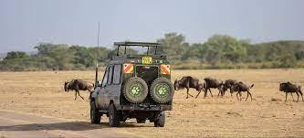 kayta_tours's tweet photo. Uncover the wonders of Kenya with Kayta Tours and Travel. Your adventure awaits in the heart of Africa! 📷📷 #KaytaExperience #travelkenya

karen nyamu oscar sudi witchcraft dave chappelle https://t.co/2P2IpKW6s1