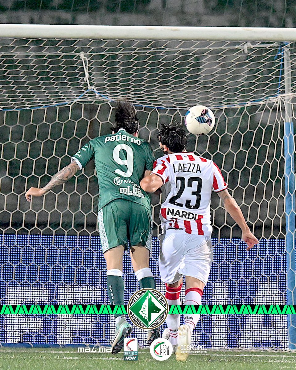 usavellino1912_'s tweet photo. Avellino 🆚 Vicenza
📸 Alcuni scatti realizzati da Artpress di Arturo Greco
#usavellino1912 #soloperamore https://t.co/jYhDZxQYQI