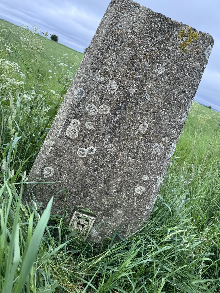 ScrumpyTrigs's tweet image. Trig 5: Charlton Clumps,190m, flush plate S1943
Easy walk to the edge of @HqSpta #SalisburyPlain 🚩 flying and sounds of training ongoing.  It’s 1 way to make sure you stick to the path…
A little overgrown, but the path takes you right past it
