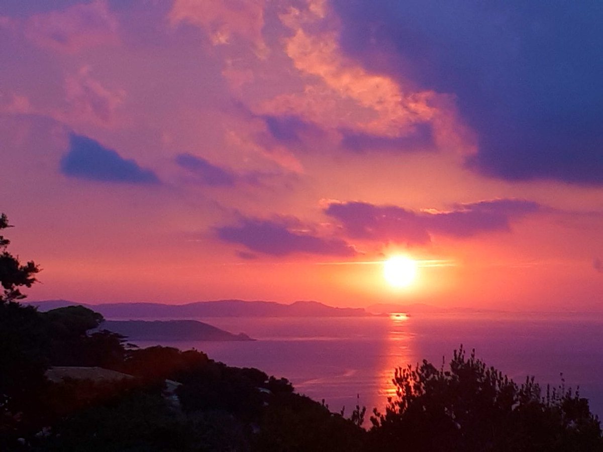 Naturist Holiday At Charm Bungalow On Ile Du Levant birth Place Of naturist-holiday-at-charm-bungalow-on-ile-du-levant-birth-place-of