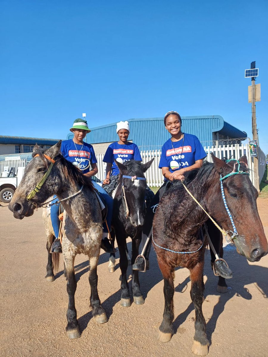 Supporters on horseback to vote @Our_DA in Kouga Eastern Cape. #RescueSA