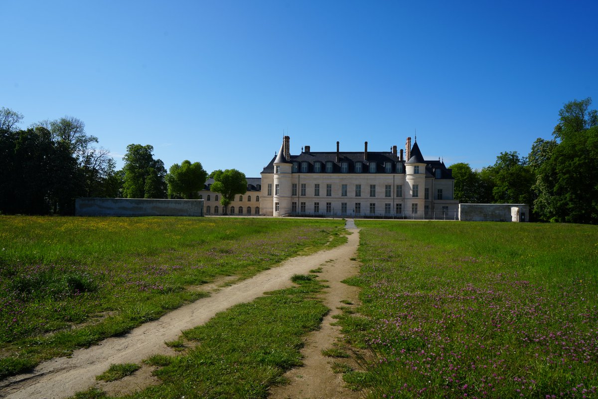 #IdéeDeSortie 🌻 Il parait que la pluie va bientôt laisser place au soleil ☀ Profitez du beau temps avec ces 3 sorties gratuites en extérieur à la Cité internationale de la langue française, dans l'#Aisne ! ⤵ 📸 @citelanguefr @leCMN