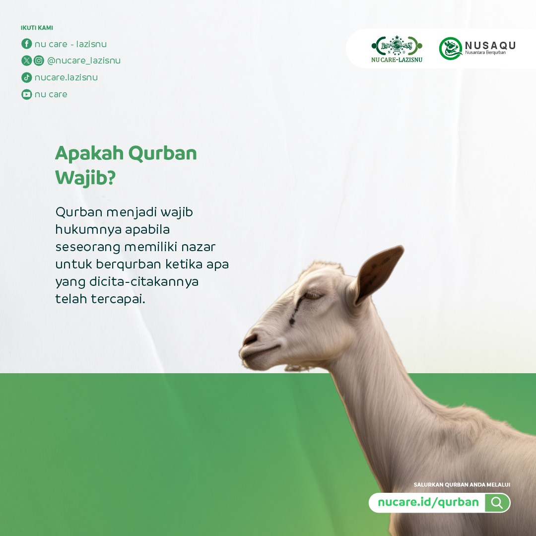 Jadi, bagi yang sudah bernazar qurban atas pencapaian terhadap sesuatu, wajib hukumnya untuk menunaikannya. #SahabatPeduli dapat menunaikan nazar qurban melalui laman nucare.id/qurban BCA 068 333 1926 BSI 777 9876 777 Narahubung 081398009800