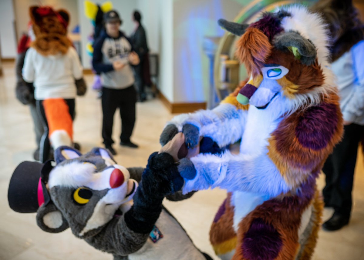 Come on @BrokTheBadger! 
Just a crumb of your cookie to remember this Confuzzled by! 😭 🍪 

So sad to see this convention come to an end, but has been a magical one, so glad to show off Huxley fullsuit! ♥️ 
📸 @FENNERGY