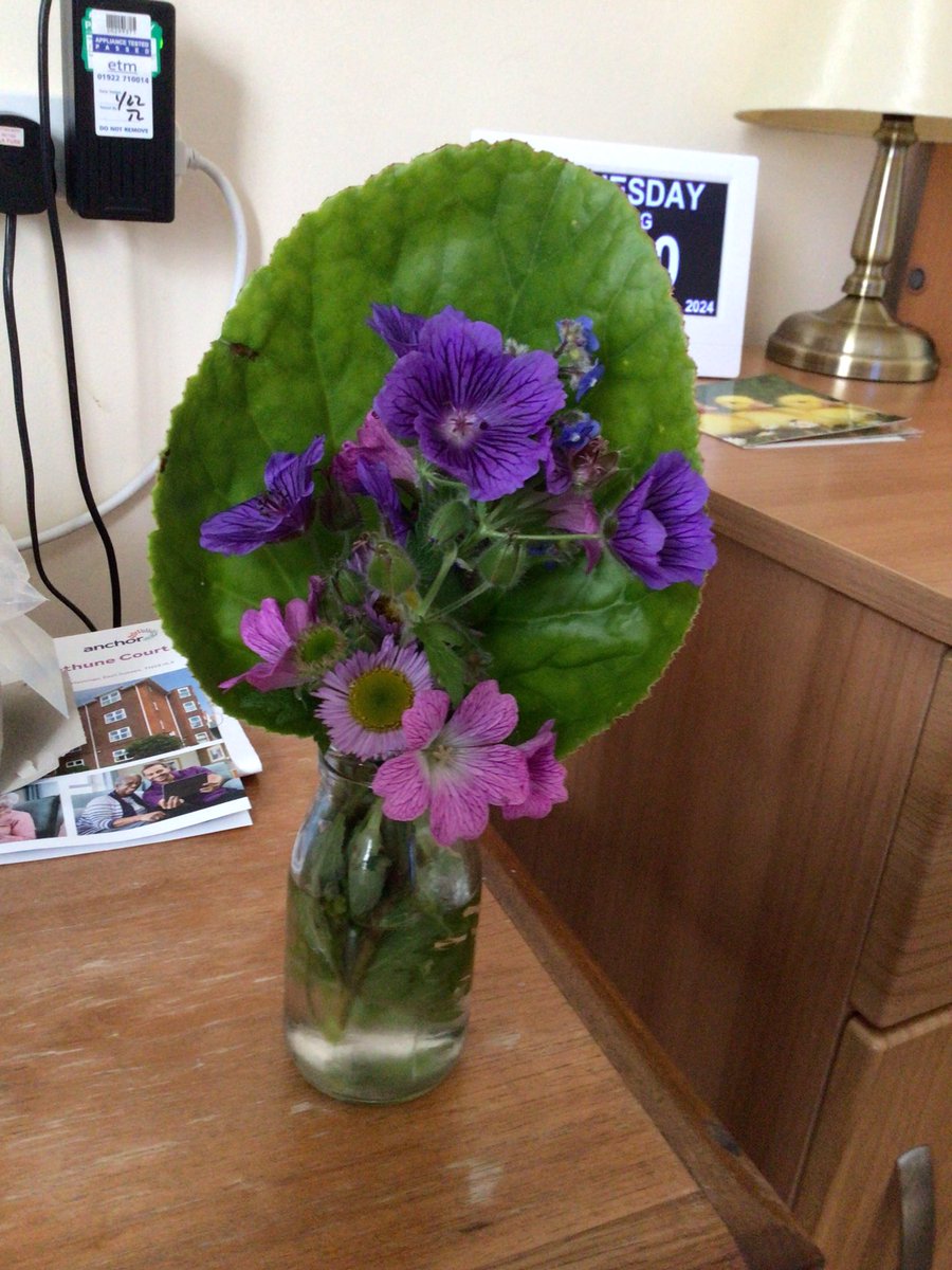 We picked some beautiful flowers with Pat during our walk 💐 <a href="/AnchorLaterLife/">Anchor</a> #walking #carehomeactivities