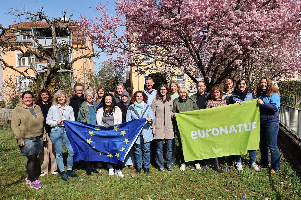 Wer hat Lust sich für den Erhalt des europäischen Naturerbes einzusetzen und unser engagiertes Team zu bereichern?
Zur Zeit haben wir zwei offene Stellen (in Voll- oder Teilzeit):
👉Projektadministration
👉Projektleitung Kulturlandschaftsschutz

euronatur.org/jobs