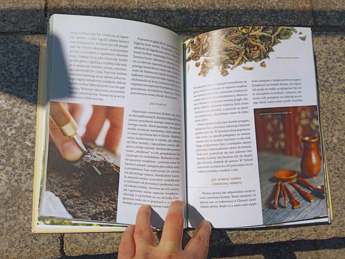 szary_kot's tweet image. Biblia 🌿🌿🌿

Ot, myślałem, jakaś tam książeczka, popełniona głównie po to, by wyciągnąć kasę od jeleni.
I zemdlałem, i chcę to nawet 🤭
#biblioteka