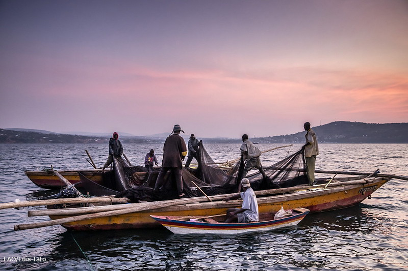 Join us in Brussels on 24 June at 15:00 CEST to learn more about how the #FISH4ACP initiative is ⬇️ 💪🏽 enhancing livelihoods; 🎣 strengthening fish value chains; 👩🏽‍🦱 promoting gender empowerment; & more! Learn more about the event & register 👉🏼 bit.ly/4aKqexQ