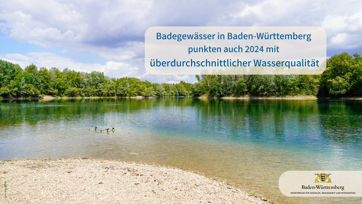 Die #Seen in Baden-Württemberg haben eine überdurchschnittlich gute #Wasserqualität. Von den 314 in der #Badesaison 2023 regelmäßig kontrollierten #Badestellen sind 97 Prozent zum Baden „sehr gut“ oder „gut geeignet“. Zur interaktiven Badegewässerkarte➡️ t1p.de/d5u9w
