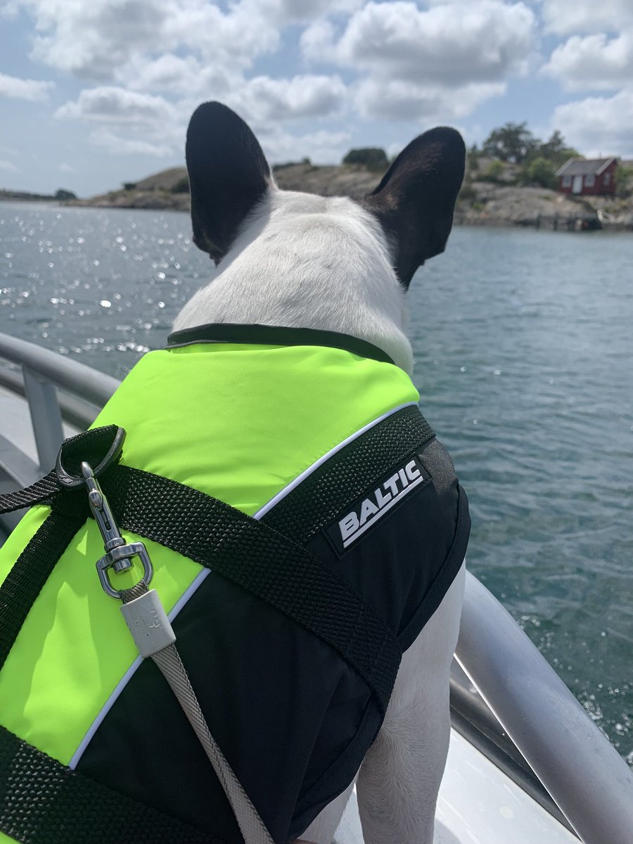 FredrikLofgren3's tweet photo. @marwim123 Min konstapel har också en helt unik simstil och har aldrig sjunkit som en sten vid hopp från brygga. Hon är därav tveksam till dessa flytetyg. Fast rättrådig som hon är sväljer hon förtreten och förstår vikten av att vara en förebild för aspiranter och sämre simmare. https://t.co/QGLExAJP69