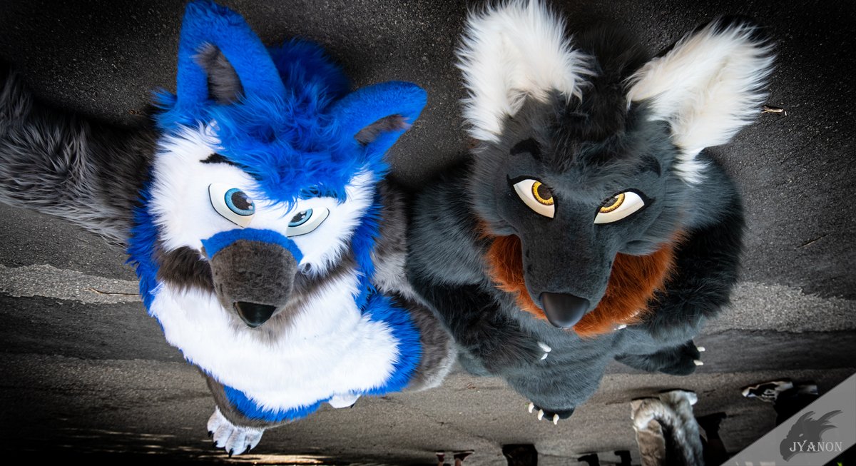 It´s #WhitewingWednesday! This time with @NyloWolfy. 📸@Jyanon 🧵@whitewingsuits 📍 Rothenburg ob der Tauber (2022) Check out my NEWS Channel: t.me/chaoswoelfin_o… #furry #furryfandom #FursuitEveryday