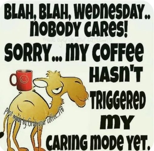 Good morning, y'all. Have a great Wednesday. @Sicilianmafia13 @TheRev316_1776