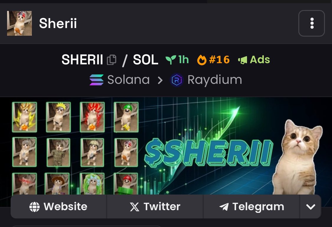 Sherii Cat tweet media