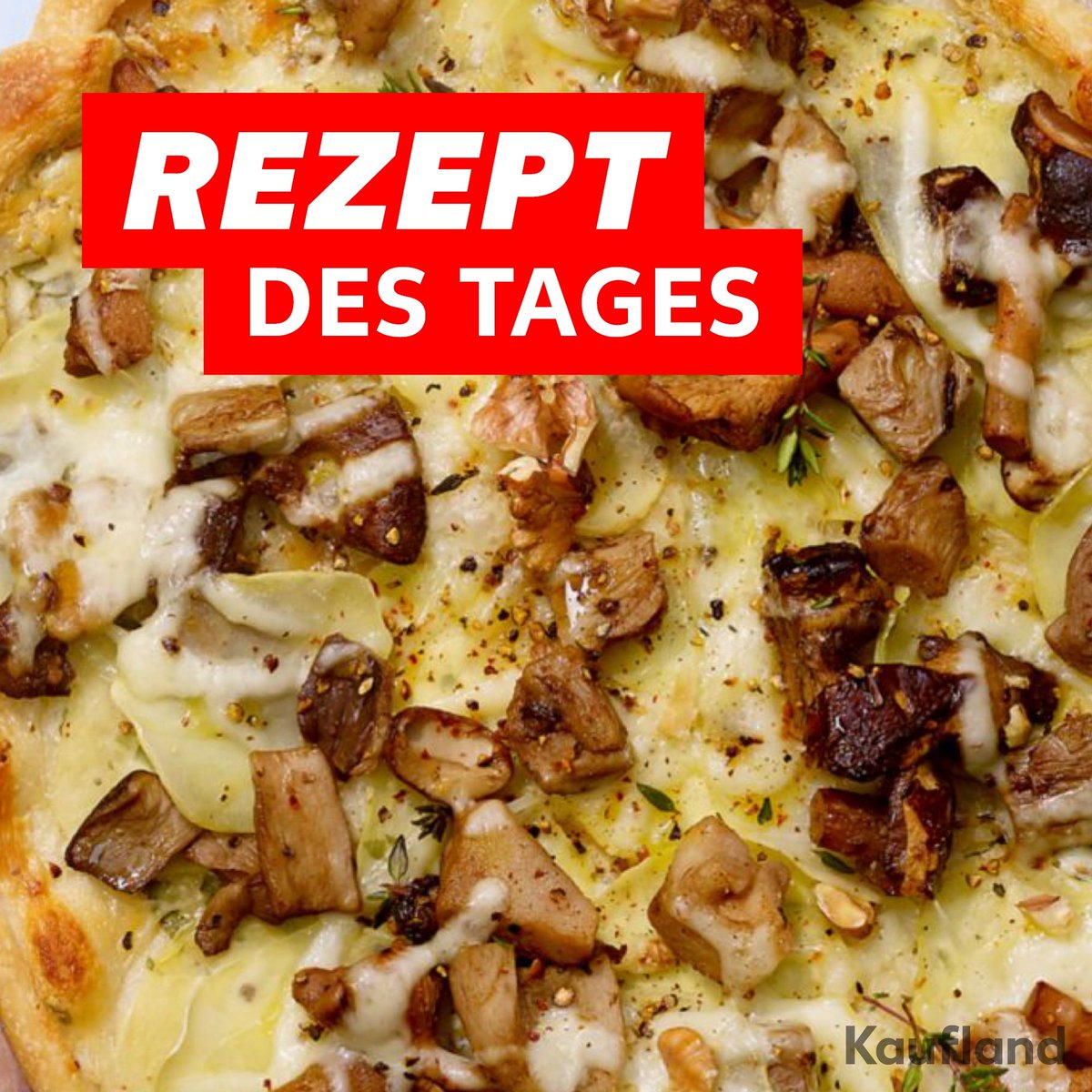 Mahlzeit! Eine detaillierte Anleitung ist inklusive: Flammkuchen mit Waldpilzen Alle Zutaten 👉 filiale.kaufland.de/rezepte/rezept… #Rezept des Tages