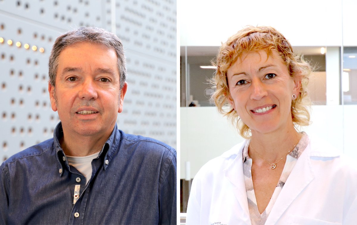 CarrerasIJC's tweet image. 🆕 Exciting advancement in #MDS treatment! 

An international team, including Dr @SoleKiko and Dr Blanca Xicoy from #IJC, has developed a new tool to optimize #HSCT timing. 

Check out more about the study, published in @JCO_ASCO, here 👇
carrerasresearch.org/en/news/new-to…