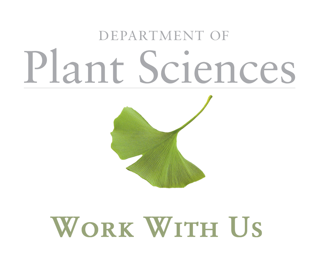 Job opportunity: 

We are recruiting a Research Assistant/Associate to investigate the phenotypic effects of plant 'persistent' viruses using pepper plants (Capsicum annuum) as a model. 🌶️🔬🦠

For full details and to apply see👉

tinyurl.com/2aajdhvj