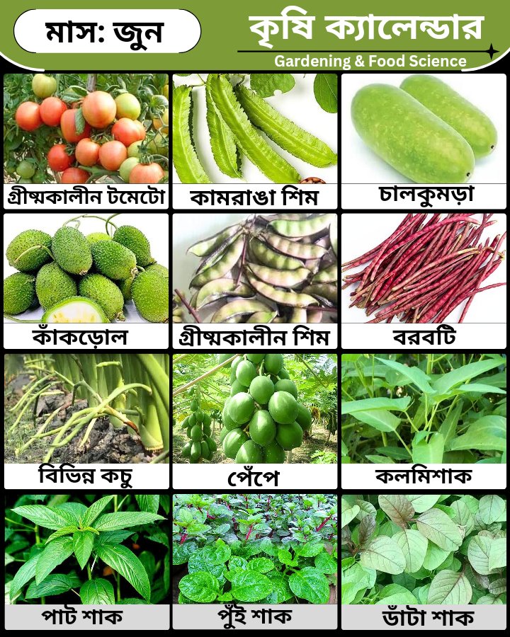 Balda mushuk ichida Telefoningizda qisqa jinsiy aloqa videolarini tomosha qiling