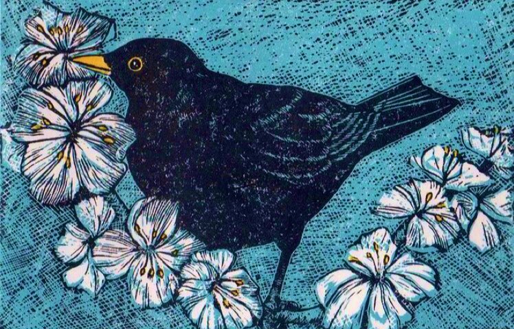 The Celtic goddess Rhiannon has 3 magical blackbirds, whose singing imparts the mystic secrets of the Otherworld & lulls the living to sleep, so they can journey in trance. In our world the blackbird sings at dusk & dawn - times of shifting & transformation. #WyrdWednesday