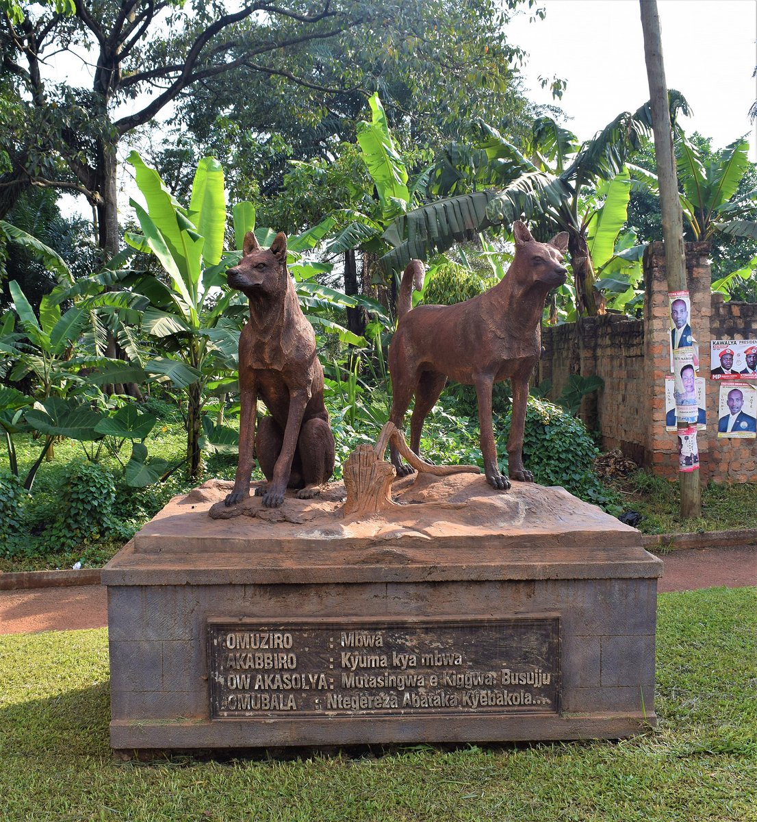 EMIRIMU GY'EBIKA KU KABAKA. 

     6. EKIKA KY'EMBWA:
i). Mutasingwa yafuka eddagala mu Mujjaguzo ngereetebwa. 
ii). Bebakulembera Kabaka ng'agenda okuyiiga.

#BugandaBika 
#BugandaNsiYaffe