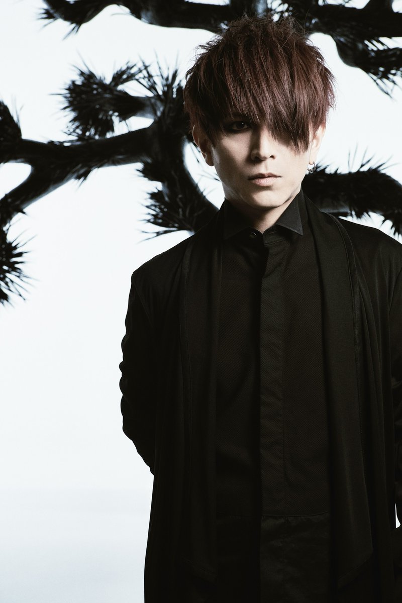 ◯【ご本人使用】PlasticTree佐藤ケンケンドラムスティックグッズ 本物の ◯【ご本人使用】PlasticTree佐藤ケンケンドラム