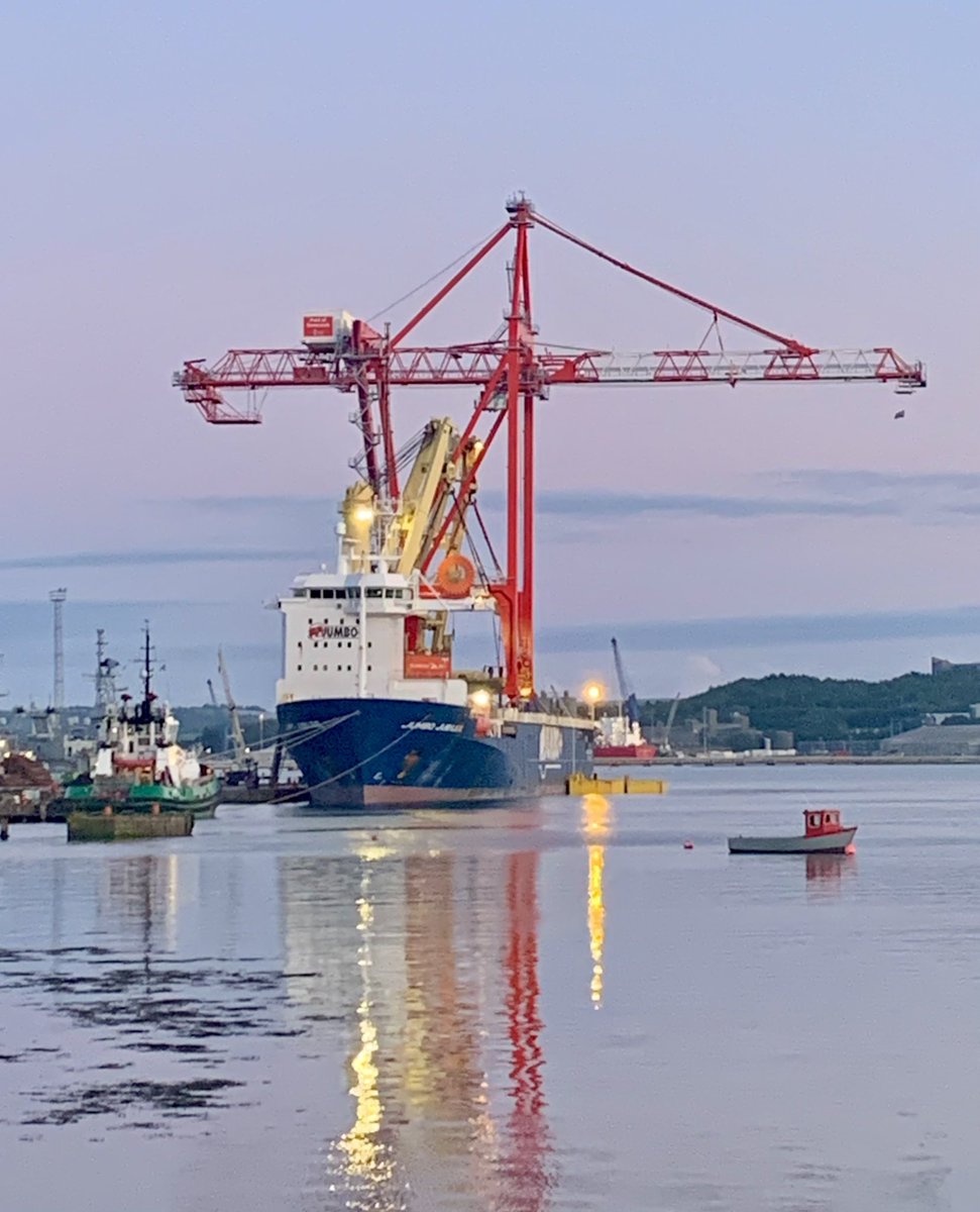 One of the Giant Liebherr Cranes erected at the Cork Shipping Dockyard, loaded on for its journey to the Port of Greenock…🏗️ #Liebherr #PortofCork #JumboMaritime #DoyleShipping