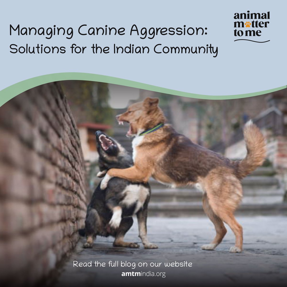 Did you know that there are almost 40 million stray dogs on the streets of India? 😮
Explore animal aggression in the country, examining causes and solutions for harmonious coexistence in such a diverse ecosystem, in our blog. 🐶

amtmindia.org/managing-canin…

#amtm #ngo #animallovers