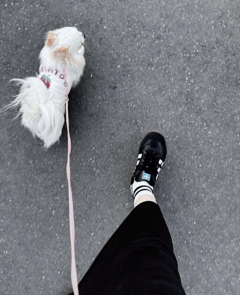 新品XL】櫻坂46守屋麗奈アディダスアディカラーデニムジャケットファイヤーバード