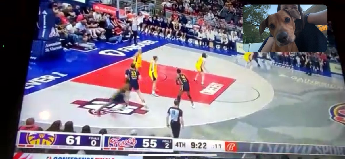 jojoquint's tweet photo. Wallace enjoying the game 🥰 #WNBA #EverybodyWatchesWomensSports https://t.co/UumPuJJrgj