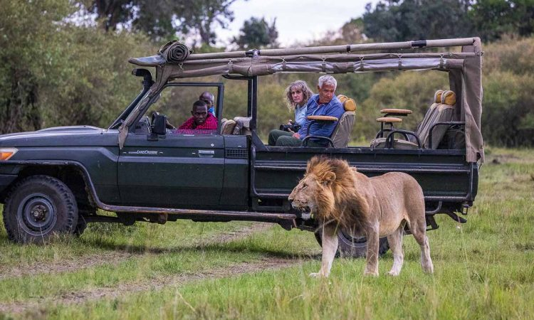 kayta_tours's tweet photo. From stunning safaris to luxurious stays, Kayta Tours and Travel makes every moment magical. Journey with us through Kenya's beauty. 🌿🏞️ #KenyaAdventures #KaytaTours 

oscar sudi karen nyamu malema witchcraft moses kuria ramaphosa https://t.co/XTq2MBjRzN