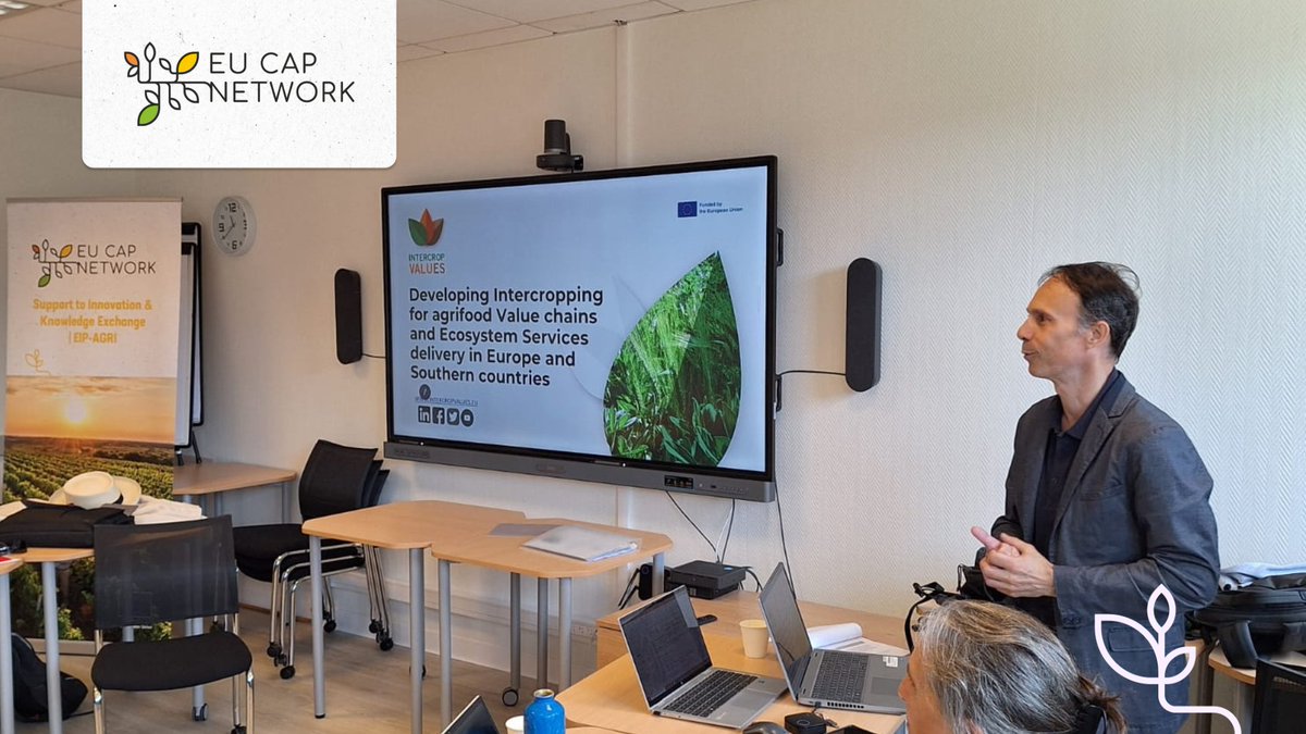 🌿 Eric Justes @Cirad and Lionel Alletto @INRAE_France introduce @IntercropVALUES at the #FocusGroup on #cropassociations

@IntercropVALUES brings together scientists and local actors to maximise the benefits of sustainable intercropping practices🌾