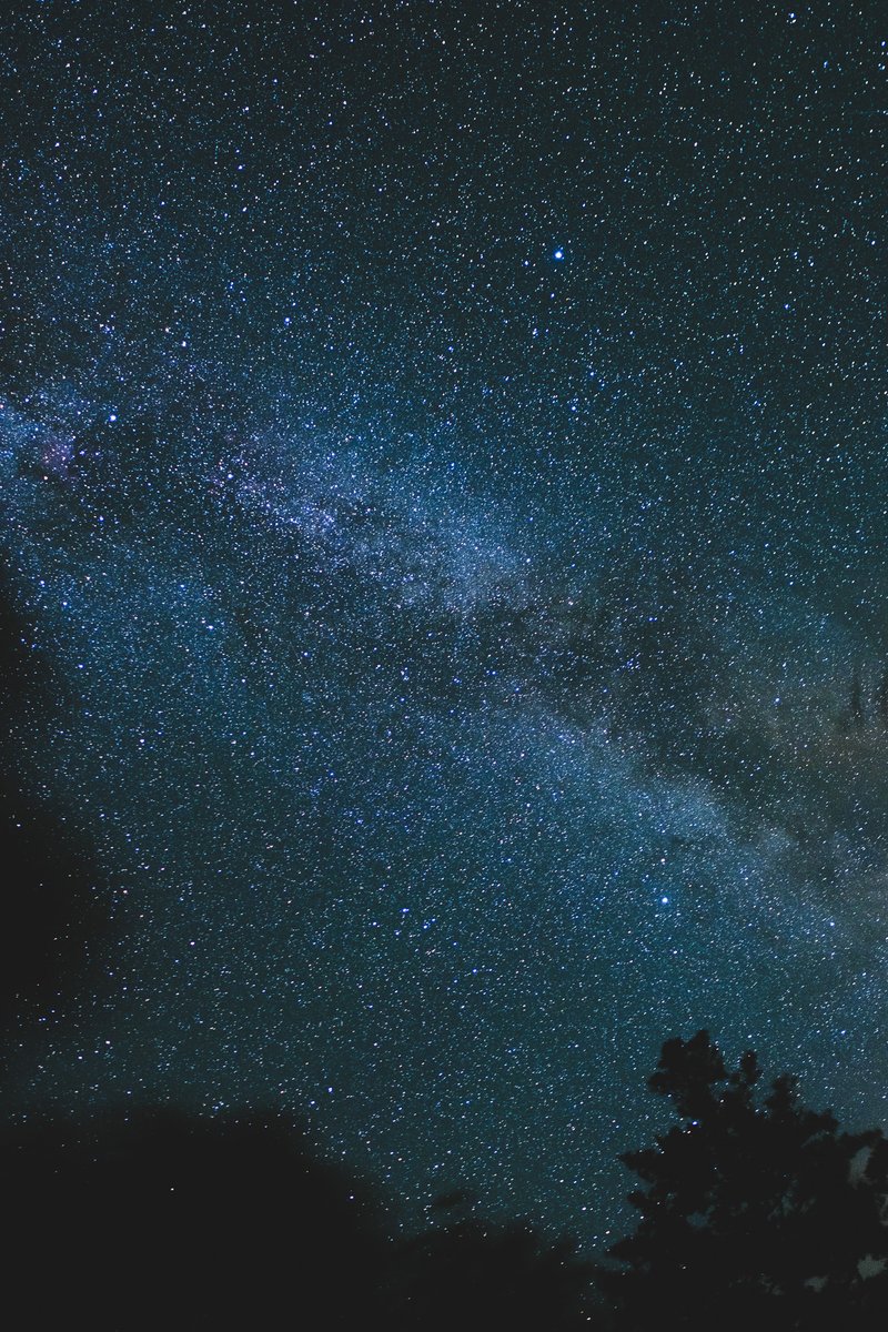 ひなた tweet media