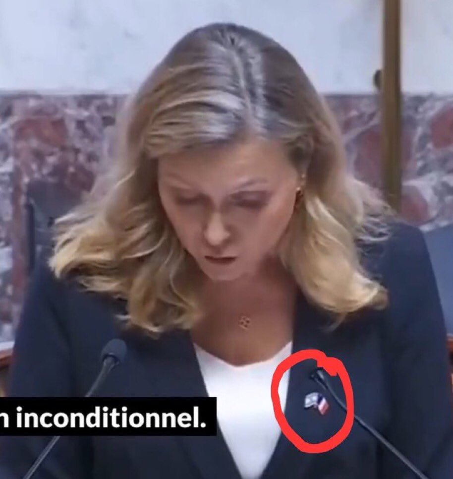 Rappelons qu'elle a elle-même porté le drapeau israélien dans l'hémicycle.