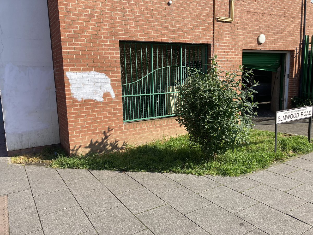 Graffiti removed 🧽 🪣- Elmwood Road, Broad Green Ward, Croydon West.

Reported/resolved! 😊