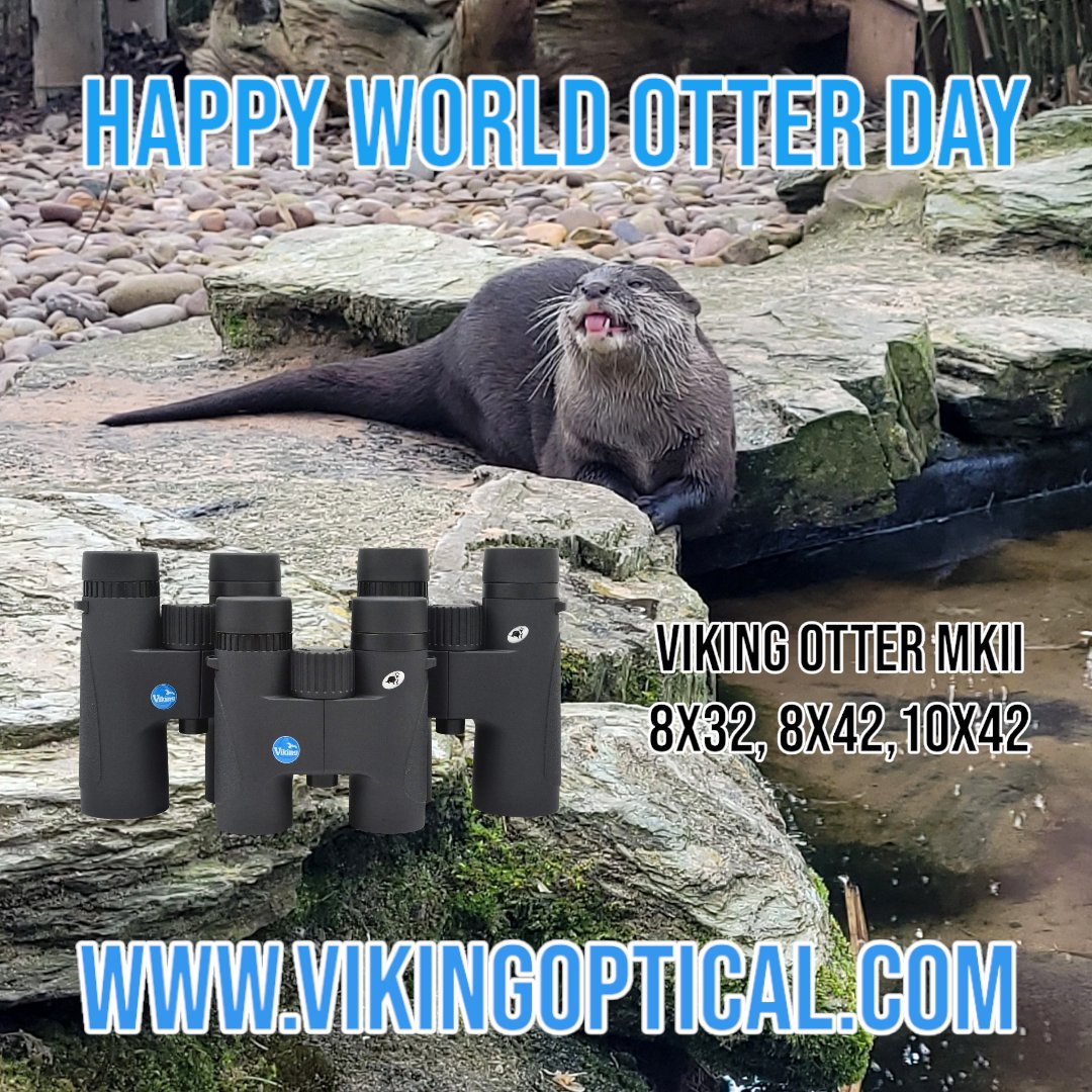 On World Otter Day check out our new and improved Otter binocular range of entry level binoculars. Excellent optical quality at a great price, the Otter has been redesigned with a slimmed down chassis to enhance handling and is now fully waterproof and nitrogen filled.