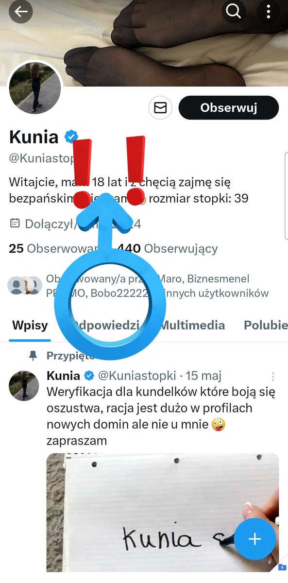 X tweet media