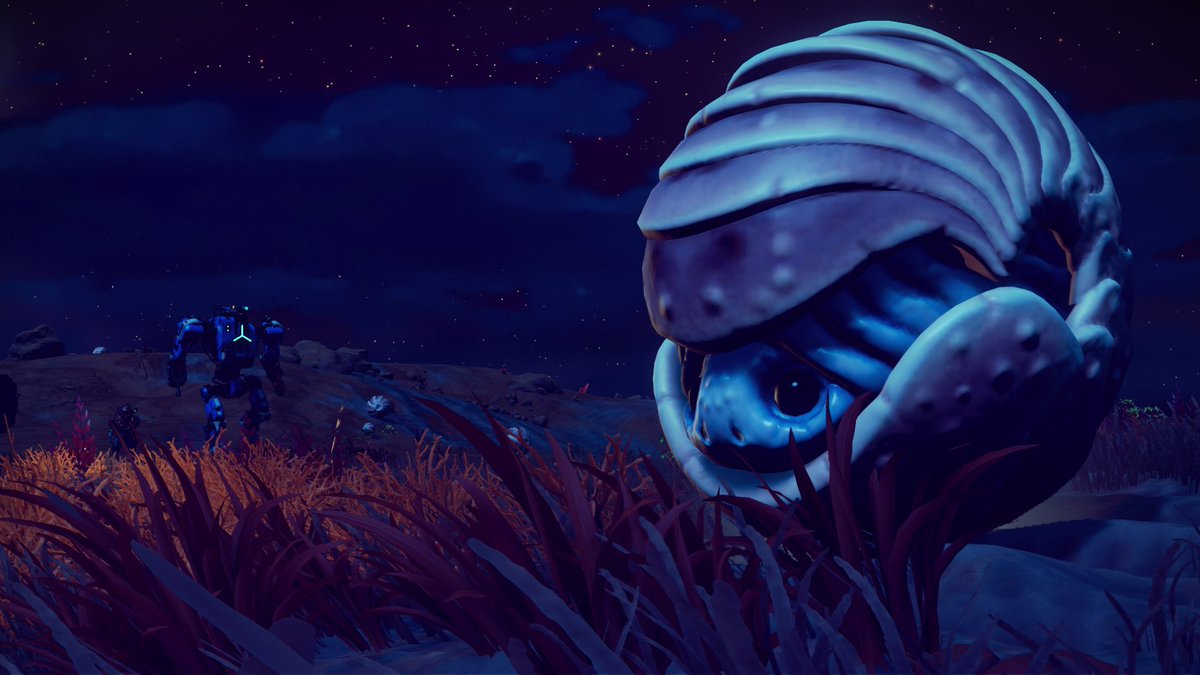 Featured Screenshot by Renegade

Goober

@HelloGames @NoMansSky #NoMansSky #VirtualPhotography