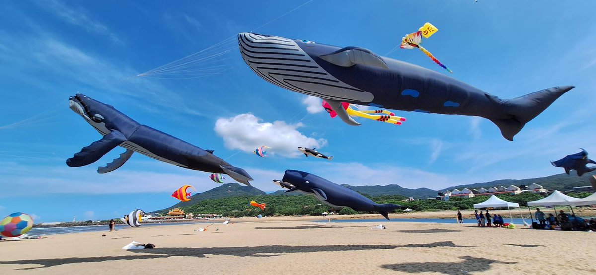 TaiwanHoy's tweet photo. 🏖️La playa de #Fulong, en la costa norte de #Taiwán🌊, ofrece numerosas actividades divertidas este verano🌞, entre las que destacan la muestra de esculturas de arena🏰, el carnaval de cometas 🪁y la temporada de música oceánica.👙
📸Administración de Turismo https://t.co/NprO8aRVnv