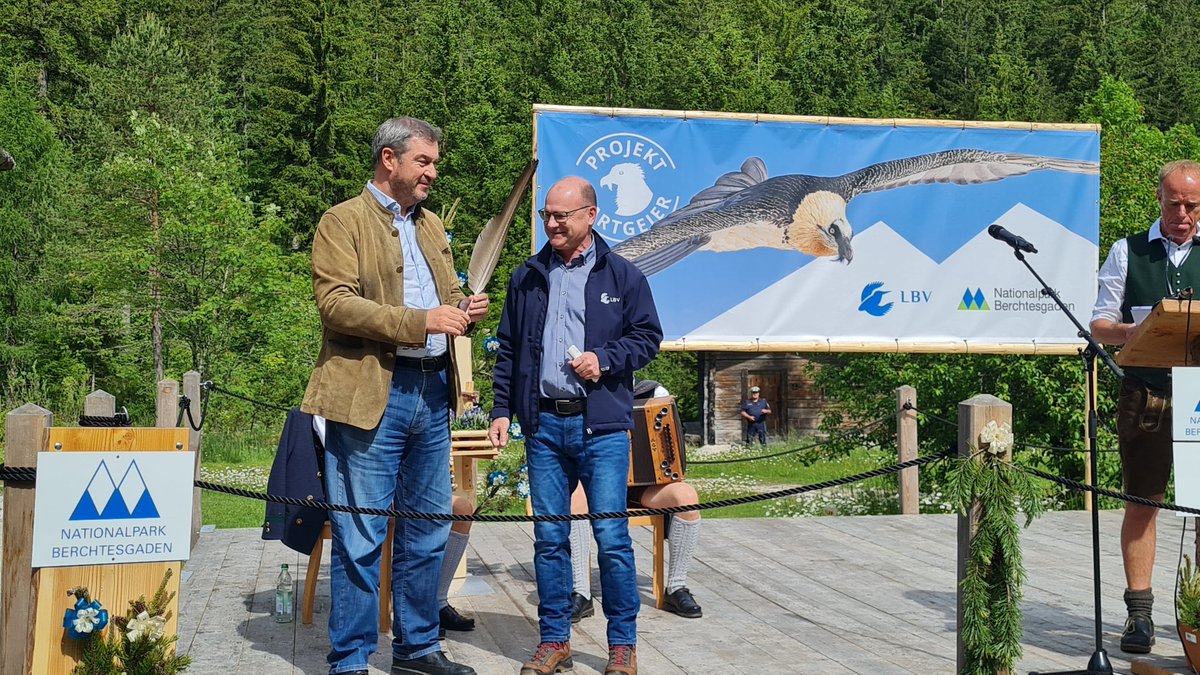 Offizielle Teil ist beendet. Als Gastgeschenk für Ministerpräsident Markus Söder gab es eine Bartgeierfeder. Bartgeierjungvögel Wiggerl &amp; Vinzenz auf Weg zur Auswilderungsnische, zu verfolgen über Webcam. lbv.de/naturschutz/ar…