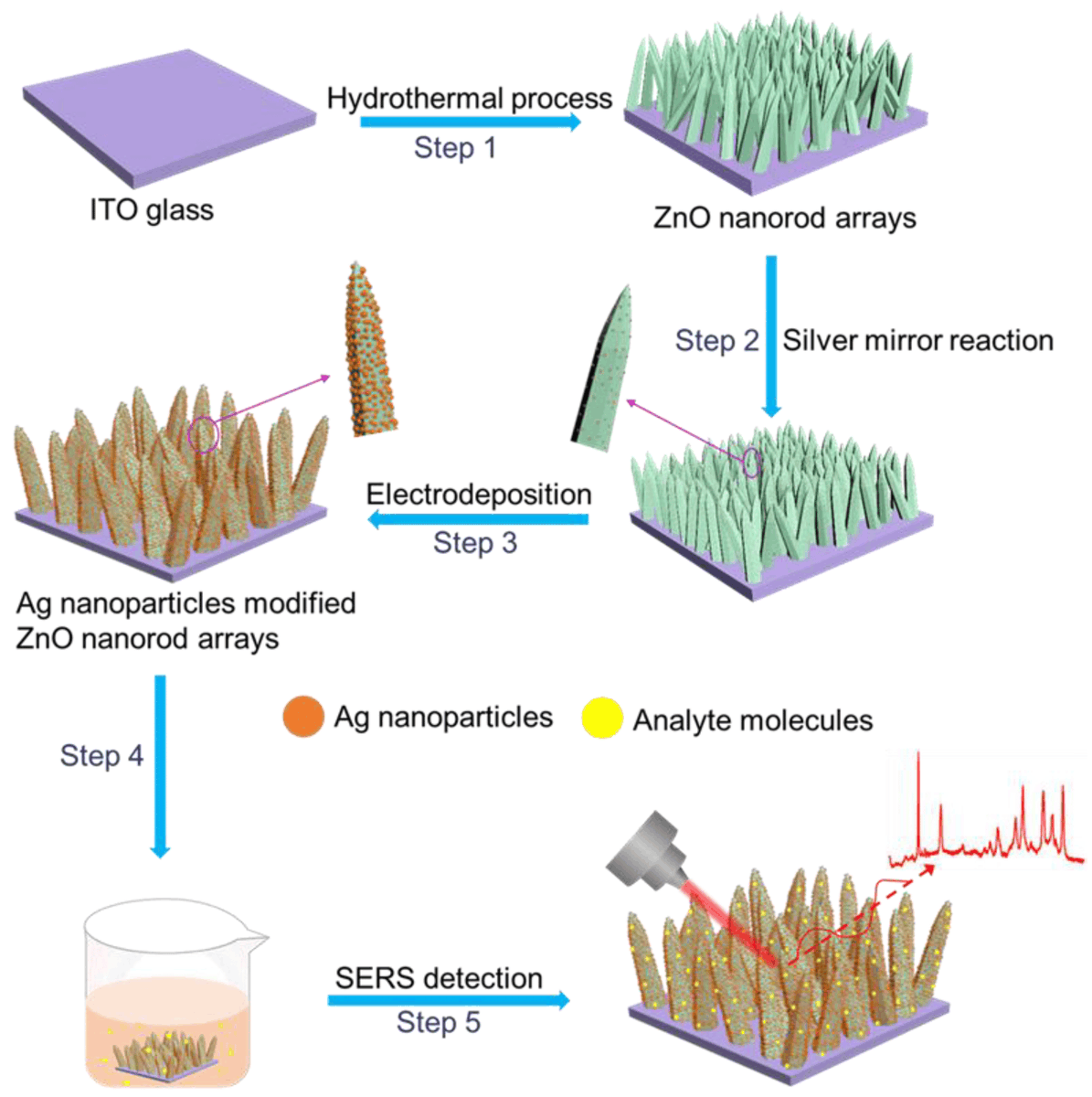 chemosens_MDPI's tweet image. 📢#Article Highly-Cited Paper
Fabrication of Vertically Aligned ZnO Nanorods Modified with Dense Silver Nanoparticles as Effective SERS Substrates by Na Li, et al.

👉doi.org/10.3390/chemos…

@MDPIOpenAccess @AnhuiChina
#surfaceenhancedRamanscattering #ZnOnanorod #Agnanoparticle
