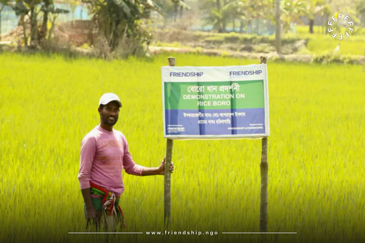 Pride in His Cultivation Md. Ashraful Islam’s paddy field is a picture-perfect demonstration of a successful boro crop: even in height and density, healthy, spotless leaves, and a smile on the farmer’s face. 📷 Naushad Ali Husein