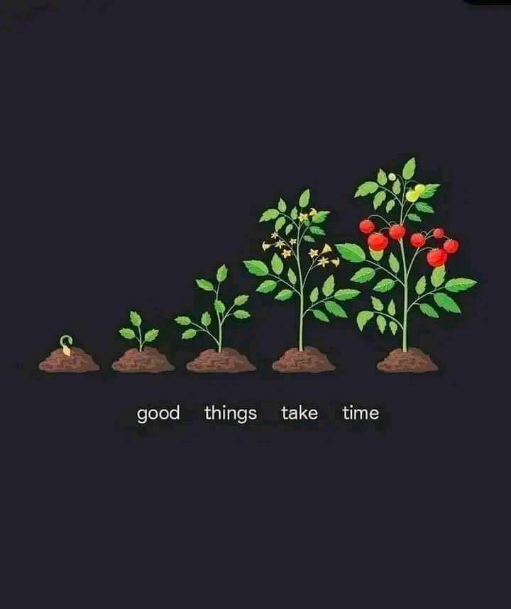 Be Patient❤
#soykırım #YIGIT #SanchezNoEsEspaña #GodMorningWednesday 
#خان_کا_نظریہ_نہیں_مٹا_سکتے #خاتم_النبیین_محمّدﷺّ
