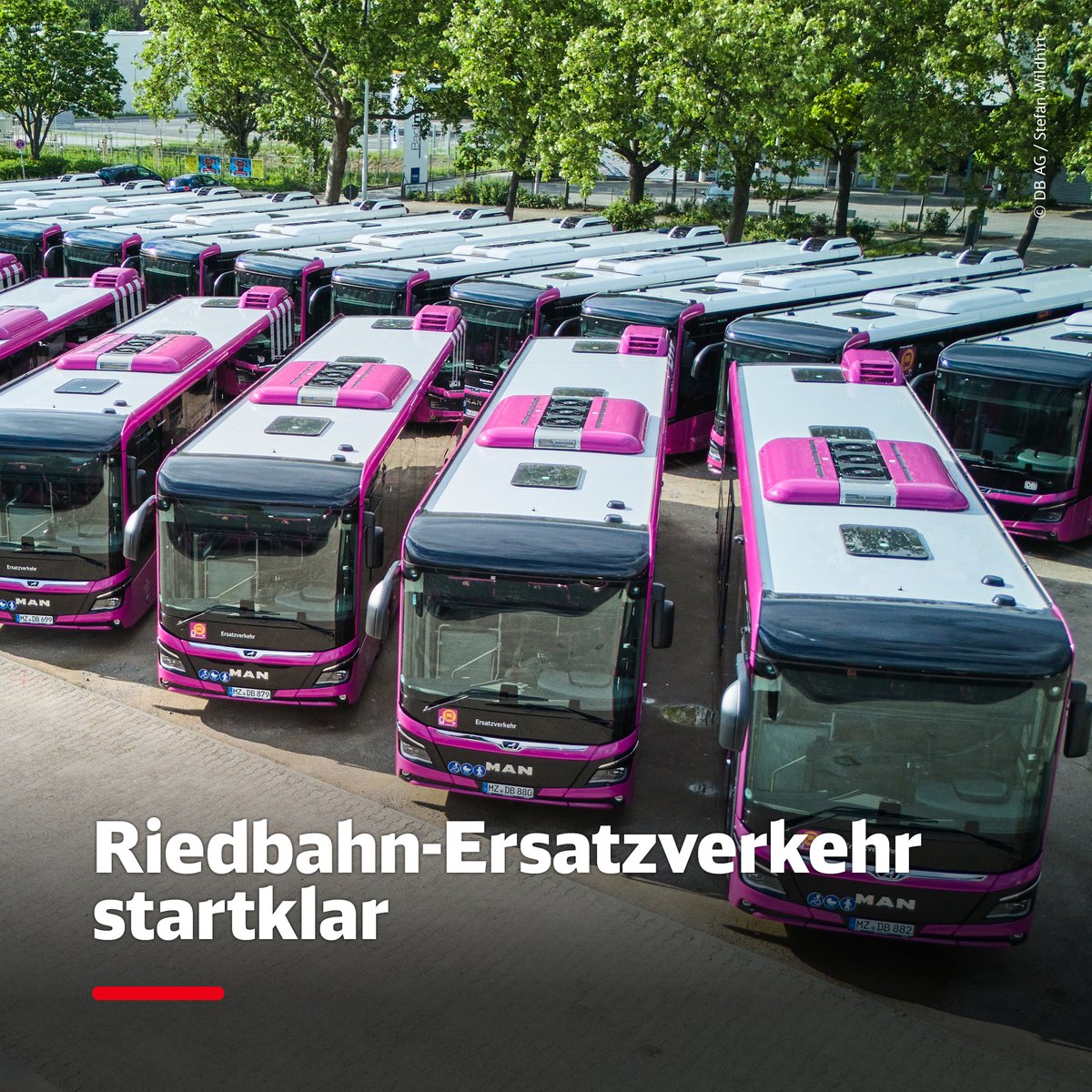 DB_Presse's tweet image. 150 Busse und 400 Fahrer:innen ersetzen ab 15. Juli Regios und S-Bahnen zwischen FFM und Mannheim für die #Generalsanierung der #Riedbahn. Nach dem Probelauf im Januar haben wir z.B. die Fahrgastinfo mit Echtzeitdaten noch einmal verbessert. Mehr Infos deutschebahn.com/de/presse/pres…