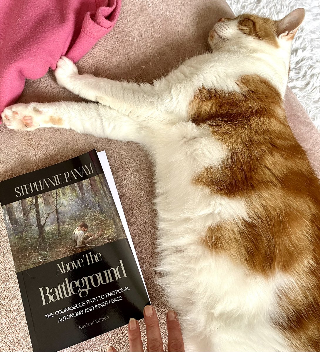 RowenaScotney's tweet image. ‘The senselessness of conquest is quite apparent from the quiet sphere above the battleground’ 🤍 
- ACIM 

✨Looking forward v much to reading this … &amp;amp; Charley slumbers, contemplating the pull of the sun x 

#stephaniepanayi #acourseinmiracles #peace @PanayiStephanie