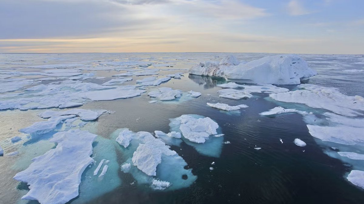 'Action is always possible, even if fragmented, even if restricted' 

H.S.H. Prince Albert II of Monaco
Keynote speech at the #BerlinForum 2024 🇩🇪

📰 READ: arcticcircle.org/journal/h.s.h.…

#ArcticCircleJournal