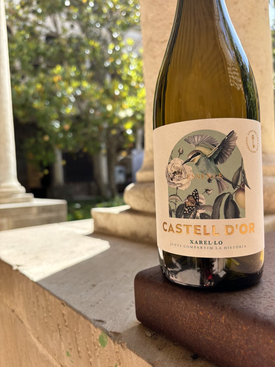 El claustre de Sant Francesc de Vilafranca acollirà el proper dia 15 de juny la tradicional Nit dels Xarel.los que organitza el @gatblaurestaurant en col·laboració amb la @dopenedes
Castell d’Or torna a ser present en la festa de tastos amb vins blancs de la varietat #xarello. 🍏