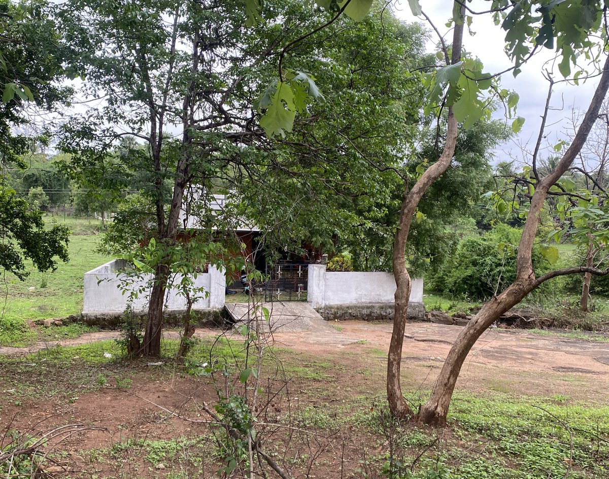 Houses in rural #Kerala Palakkad district #ClickForIndia #theme_pic_india_villagelife