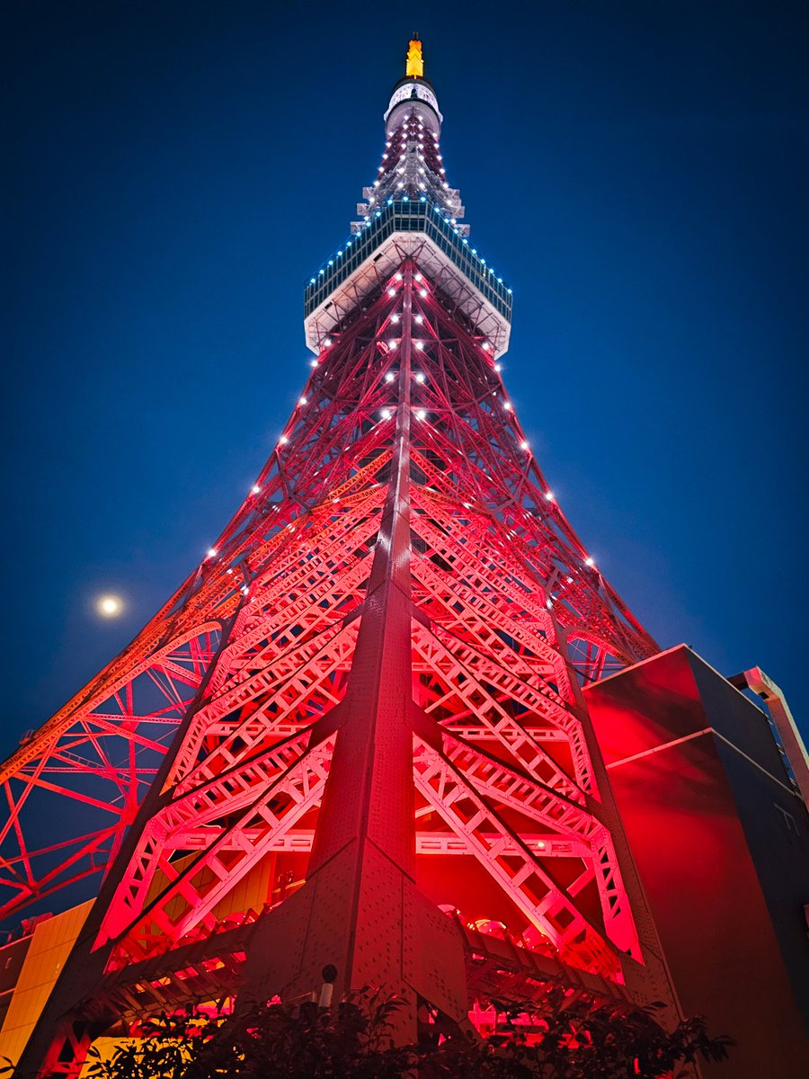 Tokyo tower I got to visit recently with great friends! Not as tall as Skytree but it's got the vibe.

#tokyotower #東京タワー #Japan #Japantravel