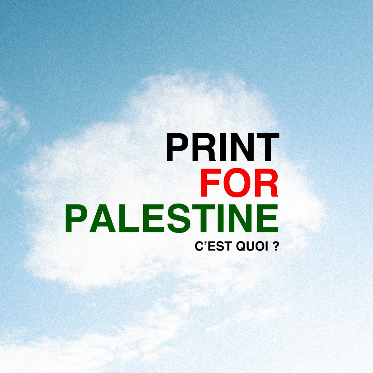 Gab 🇵🇸🇳🇨 tweet media