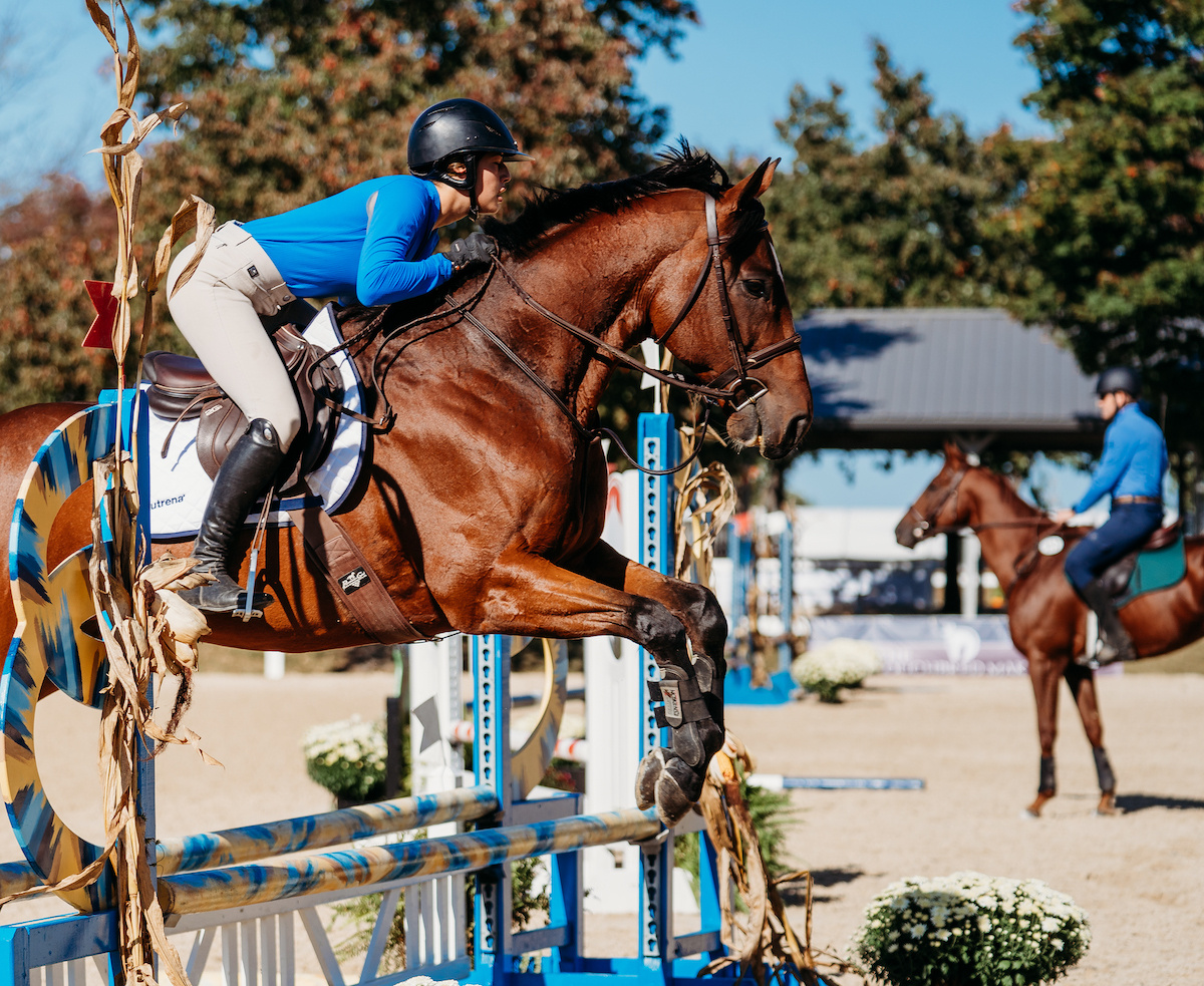 The RRP announced today that its banner event, the #TBMakeover, will add a day of clinics & guided schooling opportunities to Makeover participants on Friday, October 11 during the largest retraining competition for recently-retired racehorses.

Read more: bit.ly/4e0kX82